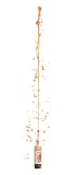 Treasure Trove Geyser Tube