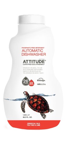 Attitude 