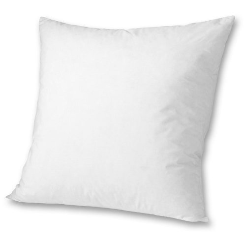 Eddie Bauer Down Pillow Insert 20x20, White ONESZE 