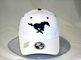 SMU Mustangs White Wool One-Fit Cap (Small)