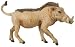 Wild Safari Jungle - Wart Hog