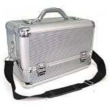 Cosmetic Train Case in Silver (Silver) (15.5
