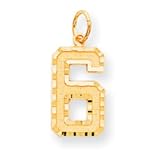 14k Goldy Casted Large Diamond Cut Number 6 Charm