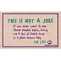 Not a Joke, The Cat Doormat