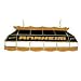 NHL Anaheim Ducks Stained Glass 40 inch Lighting Fixture