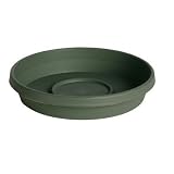 Terra Tray - Green 8