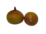 Artificial Natural Onion, Box of 6 Artificial Natural Onion, Box of 6