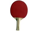 120REVERSE Table Tennis Bat