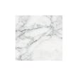 Carrara Venato Honed 6x6" Tile (sample Piece)