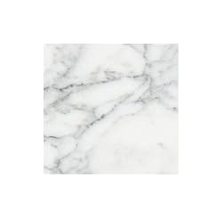 Carrara Venato Honed 6x6" Tile (sample Piece)