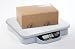 Ohaus Catapult 1000 Economy Bench - Shipping Scale C11P9 (20 lb x 0.01 lb)
