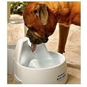 Drinkwell Pet Fountain Big Dog Drinking Bowl