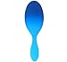 Wet Brush Hair Brush, Ombre Sea Breeze
