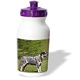 Dogs Australian Cattle - Australian Cattle Dog - Water Bottles