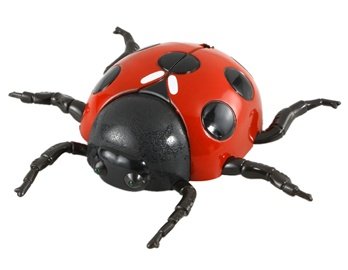 Mini Beetle Shaped RC Toy Wall Walker (Red)