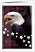 Birthdays / To a Brave Soldier, Eagle Card