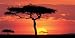 Masai Mara Plains, Kenya - James Urbach Art Print Poster 54.5 x