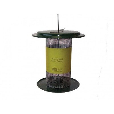 Small Dome Thistle Feeder in Green