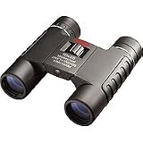 Tasco 10 x 25 Sierra Series, Water Proof Roof Prism Binocular with 5.5 Degree Angle of View, U.S.A.