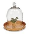 Small Bell Jar