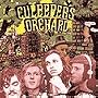 Culpeppers Orchard