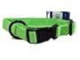 Hamilton Adjustable Fits All 1" Nylon Dog Collar - Medium - Lime