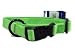 Hamilton Adjustable Fits All 1" Nylon Dog Collar - Medium - Lime