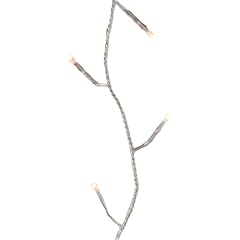 Ambientehome 51016 Lichterkette f�r Innen und Au�en mit 24 LED-Lichtern und Zeitschaltuhr, Warmwei�