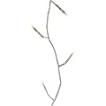 Ambientehome 51016 Lichterkette f�r Innen und Au�en mit 24 LED-Lichtern und Zeitschaltuhr, Warmwei�