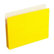 Wilson Jones ColorLife Expanding File Pockets, 3.5-Inch Expansion, 11 x 8.5 Inch Sheet Size, Yellow, 25-Count (WCC64Y)