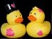 Set of 2 Valentine's Day Rubber Ducks