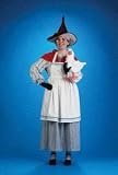 Fairy Tale - Mother Goose Adult Halloween Costume Size 12-14 Large