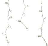 Holiday Lighting - String Lights