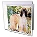 Dogs Afghan - Afghan Hound - Greeting Cards-12 Greeting Cards with envelopes
