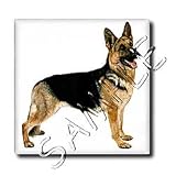 Dogs German Shepherd - German Shepherd - Tiles