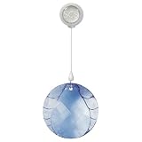 Swarovski Society 1 Year Membership