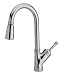 Ergo Classic Pull-Down Kitchen Faucet with Joystick Handle
