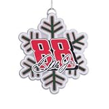 Dale Earnhardt Jr Nascar Ornament
