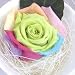 �y���j���E�L�O���E�a�����E�t�����[�M�t�g�E�o���z ���@�ɂ����������F�̃o���̃A�����W�����g