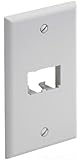 Panduit CFP2WH 1-Gang 2-Port Faceplate, White