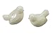 Grasslands Road Melody Collection Song Bird Salt and Pepper Shaker Set 2.5 X 2.0 Inches Gift Boxed