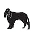 Sport Dog Pet English Springer Spaniel Car Truck Vehicle Bumper Helmet Decal Sticker Wall Art Laptop Design Skin Stickers