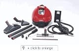 Ladybug Vapor Steam Cleaner