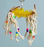 Zoo Max DUS256WXS I Love My Lovebird 6 in X-Small Wood Bird Toy Assorted Colors