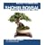 Shohin Bonsai: Unlocking the Secrets of Small Trees