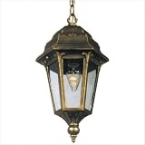 Astor Medium Chain Pendant Finish: Black