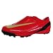 Sports : Nike STEAM II TF