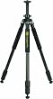 Bilora C253 Perfect Pro Carbon Stativ