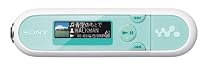 SONY �E�H�[�N�}�� E�V���[�Y FM�t <�������[�^�C�v> 2GB �O���[��/�s���N NW-E042/GP