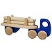 Blue Logging Truck
